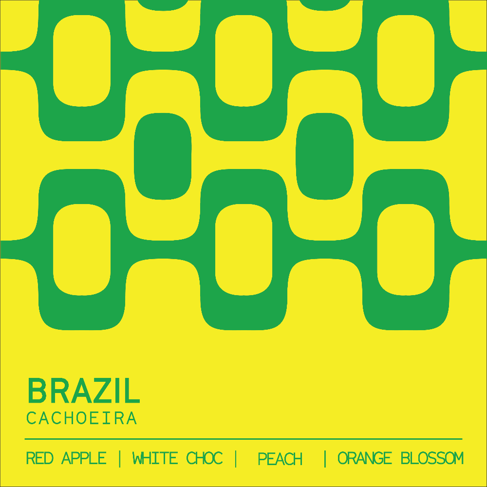 Brazil Cachoeira tasting notes — red apple, white chocolate, peach — Clark St Coffee