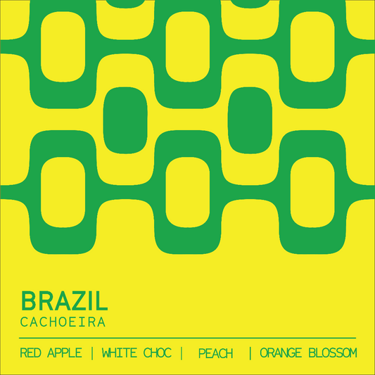 Brazil Cachoeira tasting notes — red apple, white chocolate, peach — Clark St Coffee