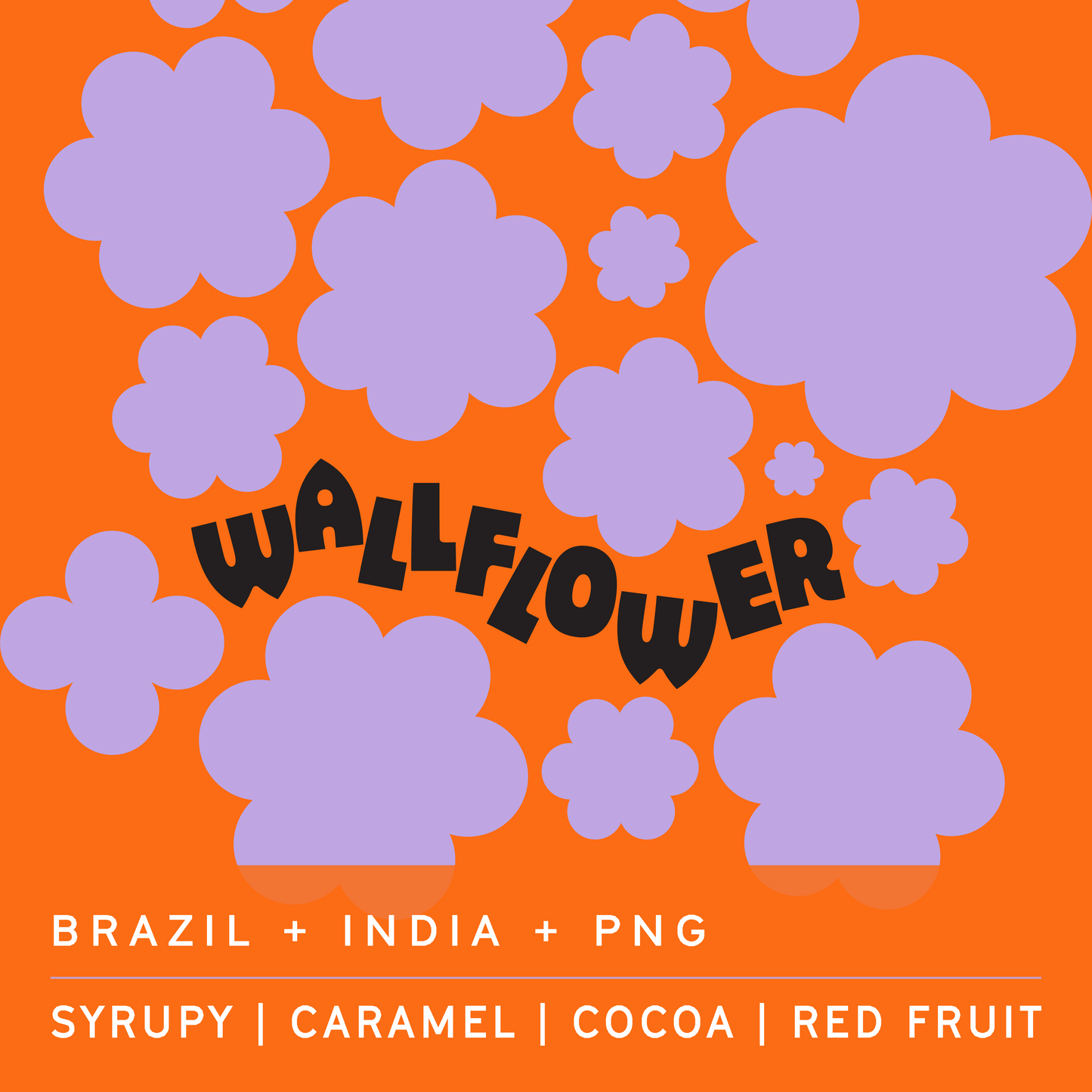 Wallflower tasting notes — syrupy, caramel, cocoa, red fruit — Clark St Coffee