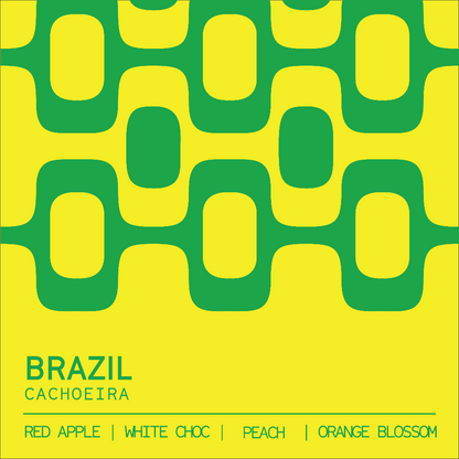 Brazil Cachoeira tasting notes — red apple, white chocolate, peach — Clark St Coffee