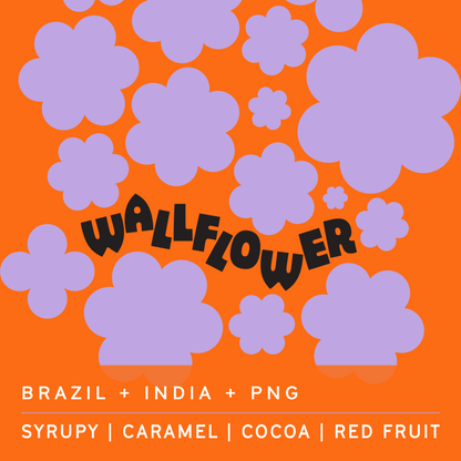Wallflower tasting notes — syrupy, caramel, cocoa, red fruit — Clark St Coffee
