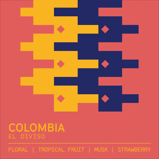 Colombia El Diviso tasting notes — floral, tropical fruit, strawberry — Clark St Coffee 