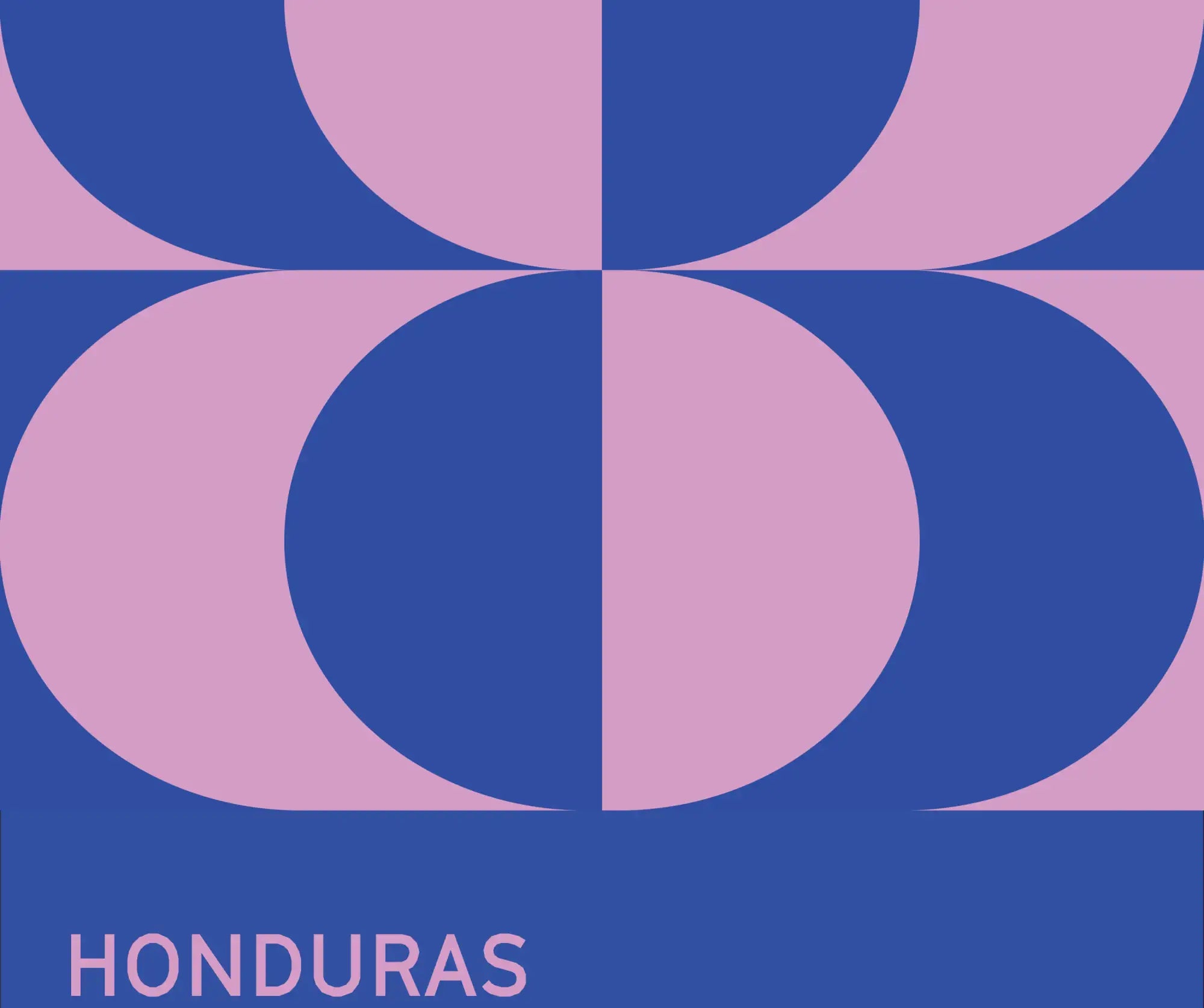 The image features a bold, geometric design composed of interlocking blue and pink circular shapes.
